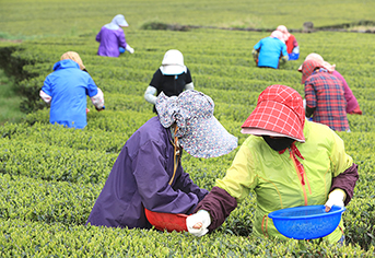 친환경농업 2배 확대, 단순 목표 넘어선 ESG 경영의 신전략이다