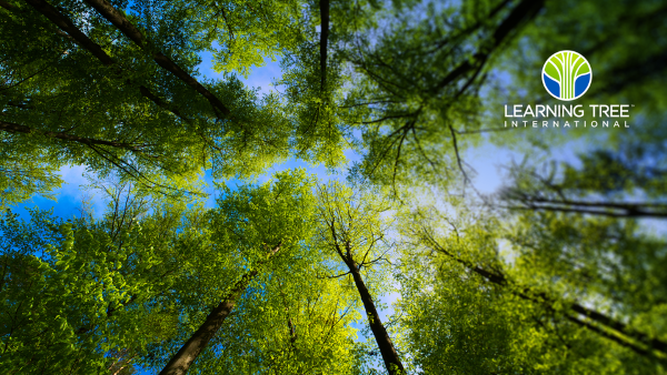 러닝트리, AI 시대 맞이… AI 워크포스 솔루션 출시