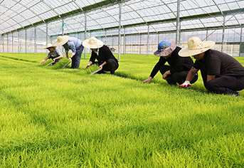 농업법인 출자 이월과세 전환, 농업 구조 고도화 이끄는 핵심 전략