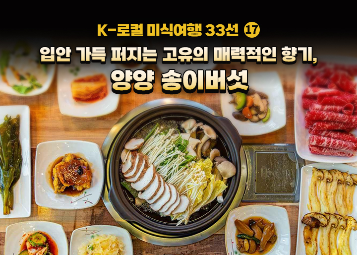 희소성을 넘어 지속가능성으로, 양양 송이버섯의 전략적 가치와 ESG 비전
