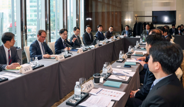 디오, 정부 고위급 방중 경제 간담회 참여... 中 시장 전략 공략 시동