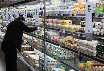 조류인플루엔자發 계란 수급 불안, 선제적 수입으로 공급망 안정화와 ESG 경영 시사점 모색