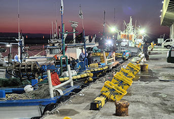 해수부의 '5극 3특' 기반 지역 맞춤형 수산 발전, ESG 시대 지속 가능한 성장 전략을 제시하다