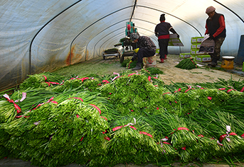외국인 계절노동자 인권, 단순 규제 넘어선 기업의 핵심 생존 전략이다