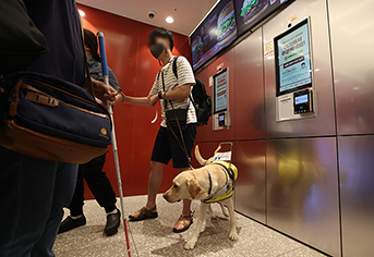 배리어프리 키오스크 의무화: 단순 규제 넘어선 기업의 지속가능 전략이다