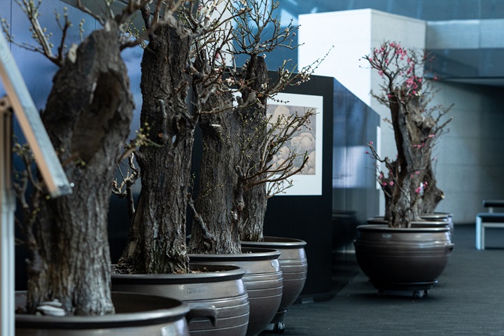 명절 문화 행사, ESG 시대의 새로운 사회적 가치 전략으로 부상하다